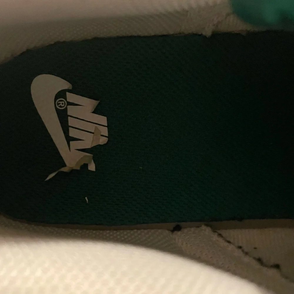 - - - NIKE   DUNK LOW ESSENTIAL 